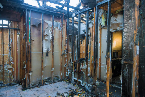 Professional Fire Damage Removal technician working in Maple Plain, MN